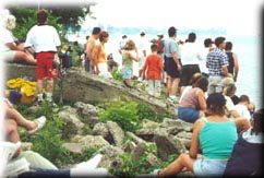 [Memorial Park Photo]